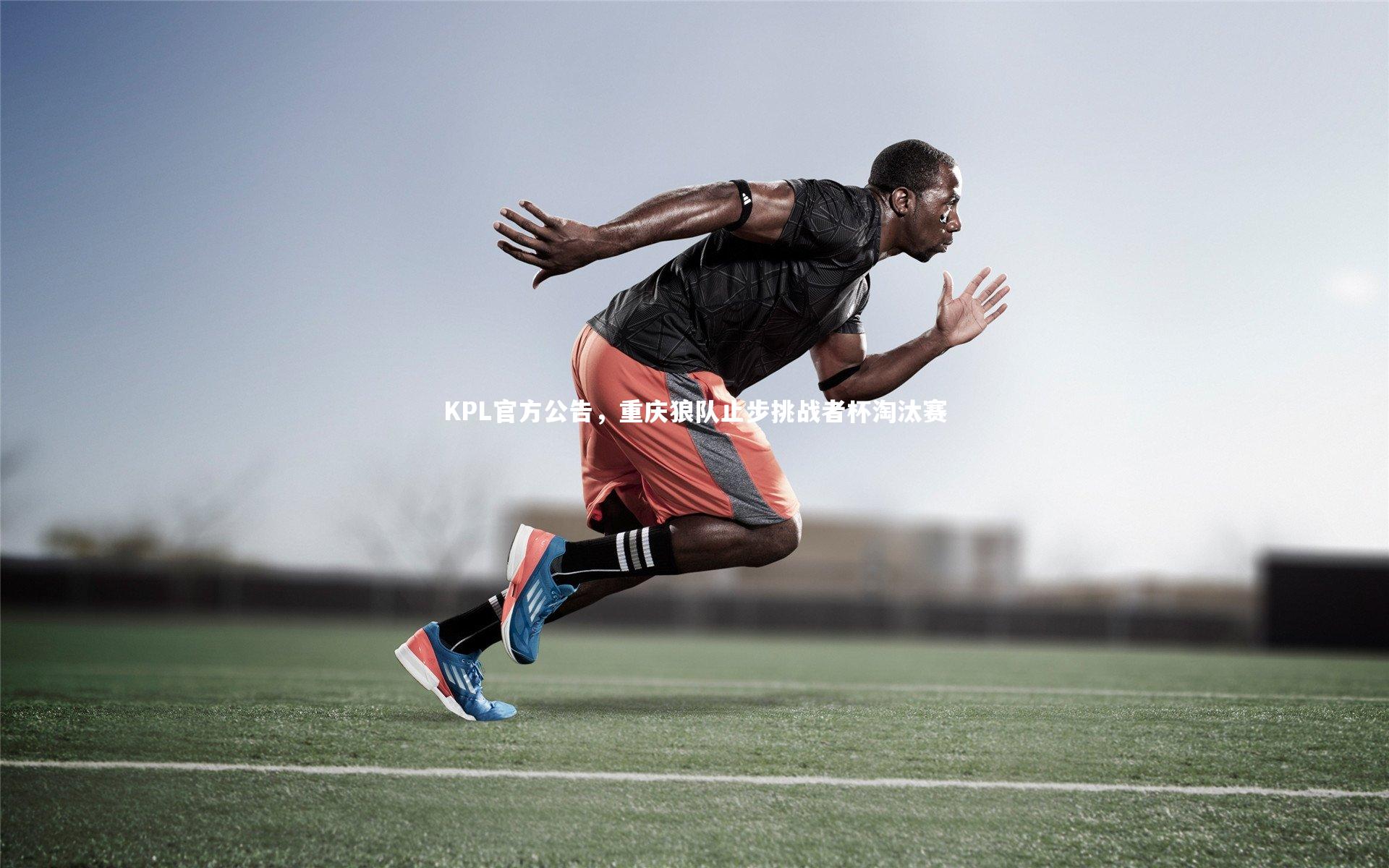 KPL官方公告，重庆狼队止步挑战者杯淘汰赛